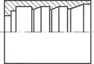 Fassung DN 10 2ST/R9AT/R12/4SP, Edelstahl 1.4404