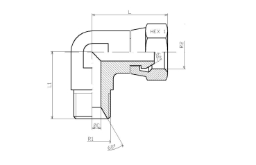 Preview: EVW 3/8" BSP einstellbare Winkelverschraubung